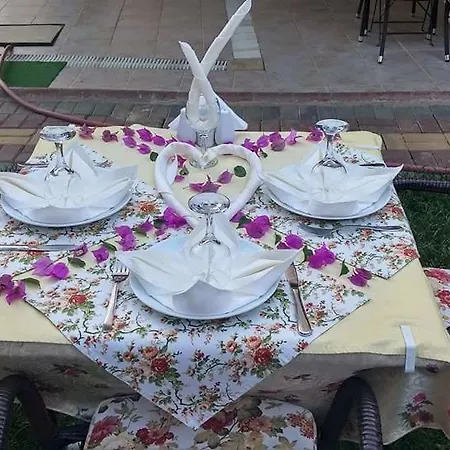 Seda Hotel de apartamente Alanya