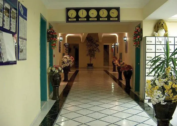 Seda Alanya