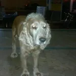 Seda 3* Alanya