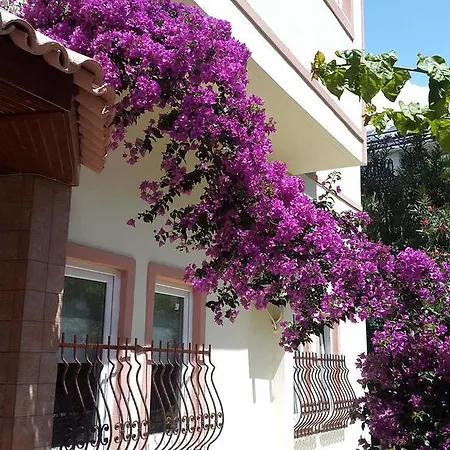 The S & Aparthotel